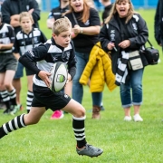 Perthshire Rugby – Home page slider Perthshire Rugby