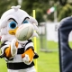 Perthshire Rugby