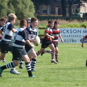 Shire Vs Stirling 2019 (6)